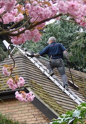Our staff cleaning the moss from a roof in Hook near Basingstoke